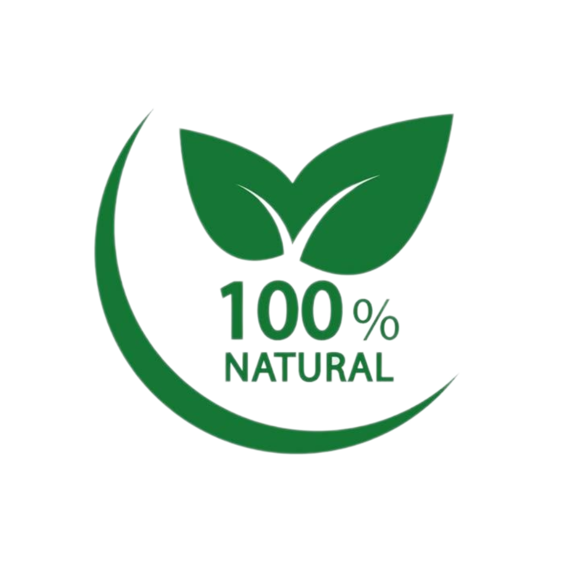 Partner 7